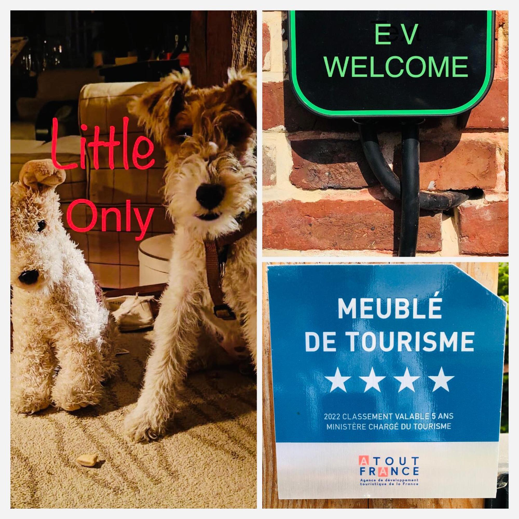 Rouge Cottage Gite 4 Etoiles Billard Gueutteville-les-Gres 외부 사진